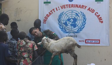 unmiss south sudan upper nile state animal health welfare veterinary camps promoting peace livelihoods