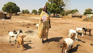 unmiss south sudan veterinary campaign peacekeepers cattle keepers bangladesh