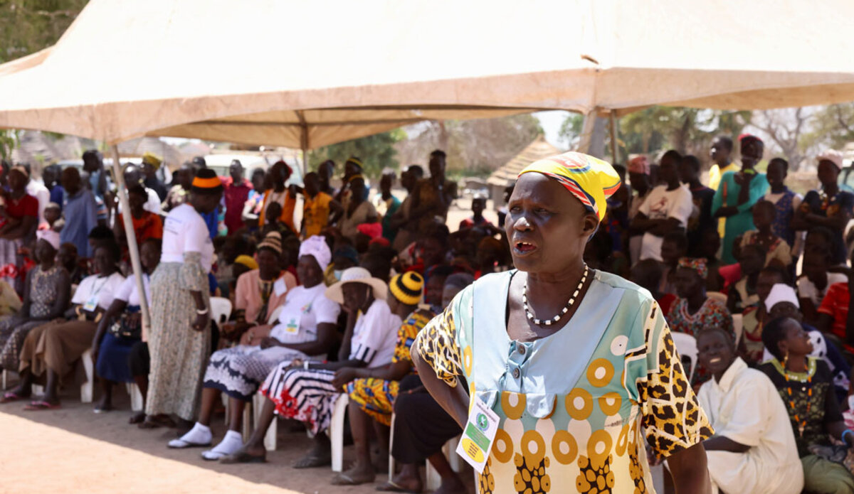 unmiss protection of civilians Warrap Tonj cattle raids intercommunal clashes peace peace agreement south sudan