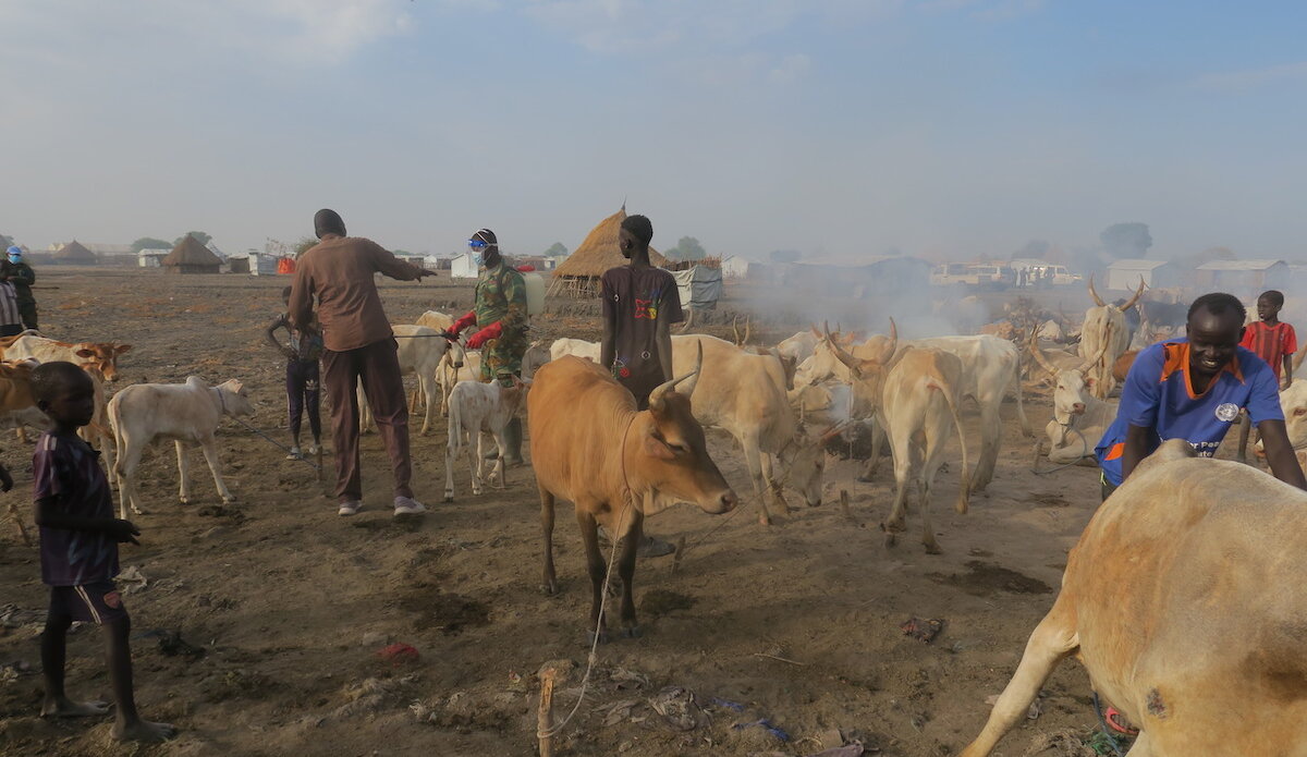 unmiss south sudan unity state floods cattle veterinary services ghana peacekeepers