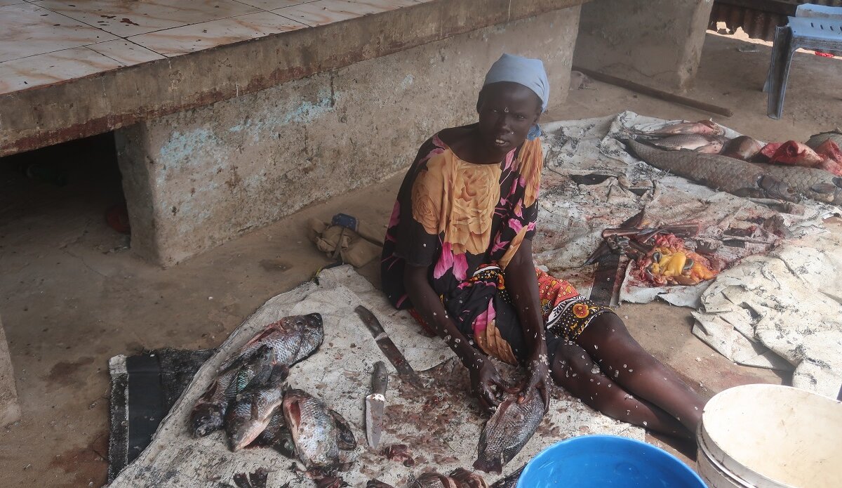 unmiss quick impact projects women livelihoods peace south sudan bor jonglei 