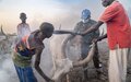 UNMISS livestock health campaign in Unity treats thousands of beasts, sustains livelihoods