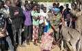 Boost for livestock farmers in Malakal as UNMISS peacekeepers train animal health workers